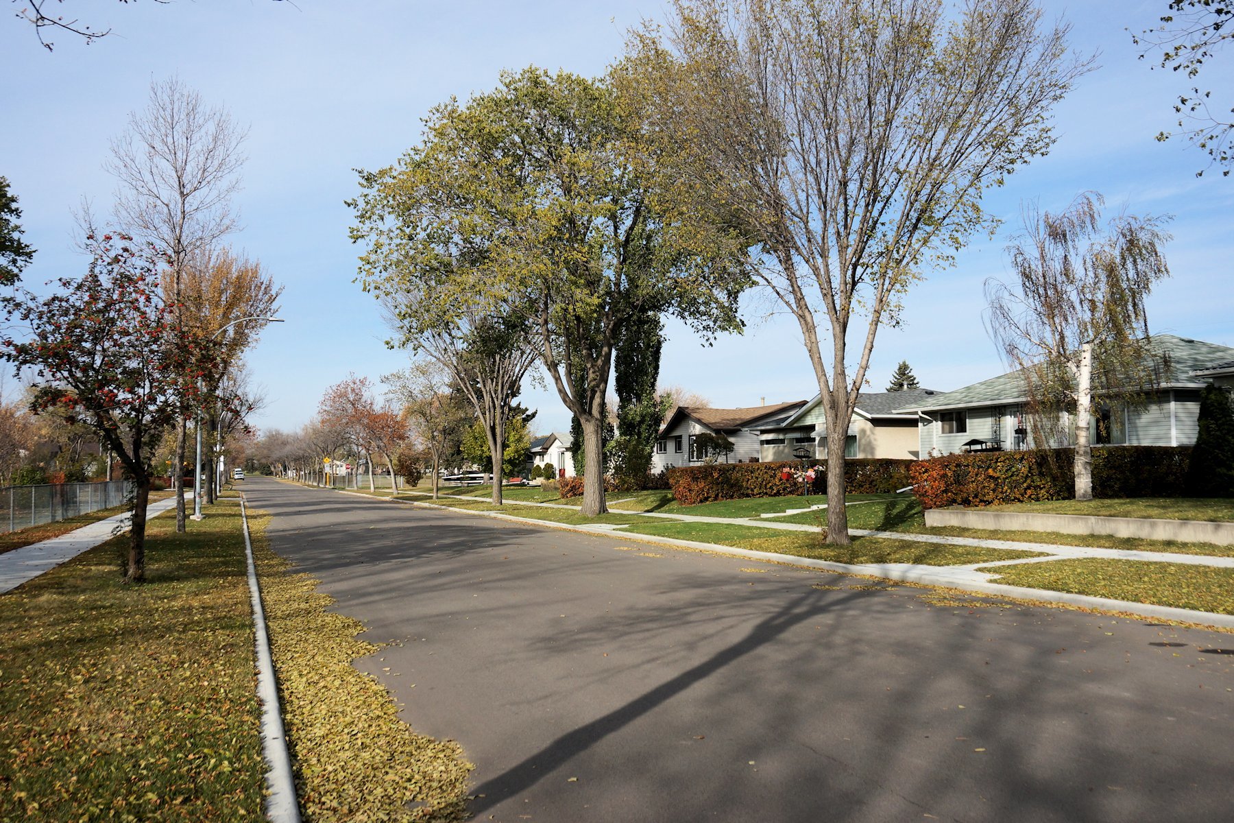 Lauderdale Edmonton Homes For Sale, Lauderdale Real Estate